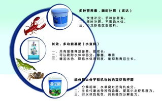 四月金磚水產(chǎn)盛會 先進(jìn)養(yǎng)殖設(shè)備與技術(shù)齊聚廈門