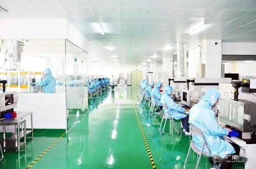 南寧 創新激發經濟活力，眾多“科技種子”開花結果